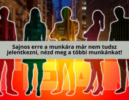 Promóter munka kiemelt bérrel