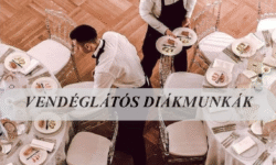 Vendéglátós diákmunka!
