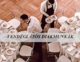 Vendéglátós diákmunka!